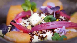 Succulent La raclette