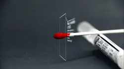 Sur la scène du crime Découverte macabre