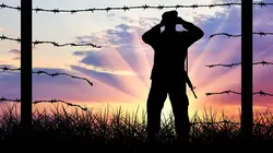 Tanks, rois des champs de bataille