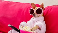 Téléthon 2024 : 38e édition