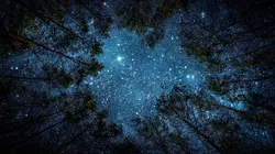 The Challenge: Champs Vs. Stars en streaming