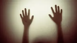 The Wall Street Project