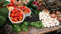 Top chef Episode 13 en streaming