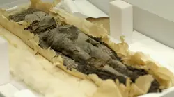 Toutankhamon, les secrets du pharaon