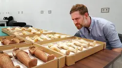 Toutankhamon, les secrets du pharaon