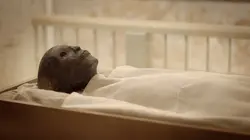 Toutankhamon, les secrets du pharaon