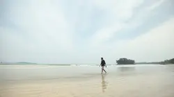 Tsunami : la vie 20 ans après