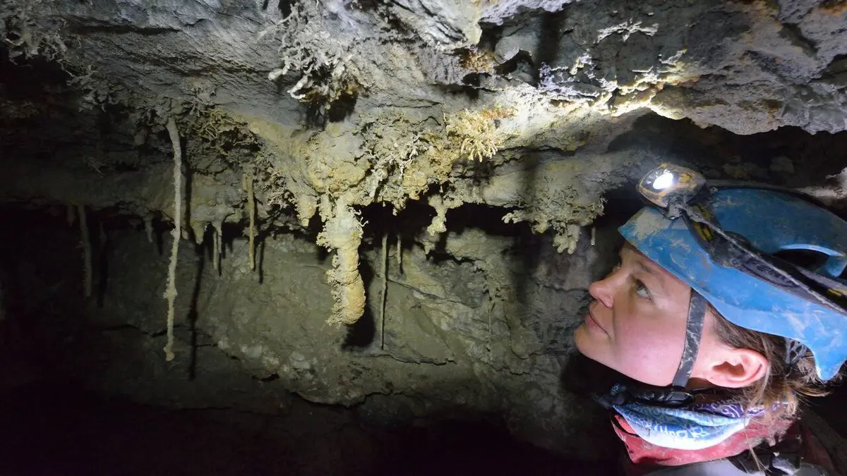 Audiences TV : Ultima Patagonia