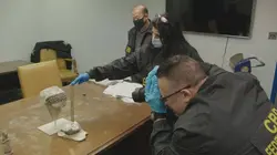 Ultimate Airport USA Drogue festive