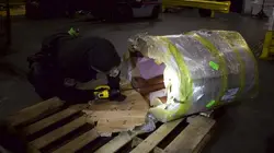 Ultimate Airport USA Drogue festive