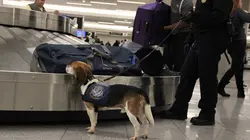 Ultimate Airport USA S05E01 Coup de filet