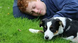 Un chiot à la maison E01