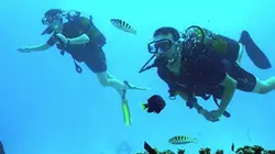 Une saison à Tahiti E03