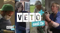Véto & Co