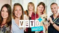 Véto & Co