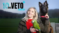 Véto & Co