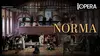2025 • Vincenzo Bellini : Norma Norma
