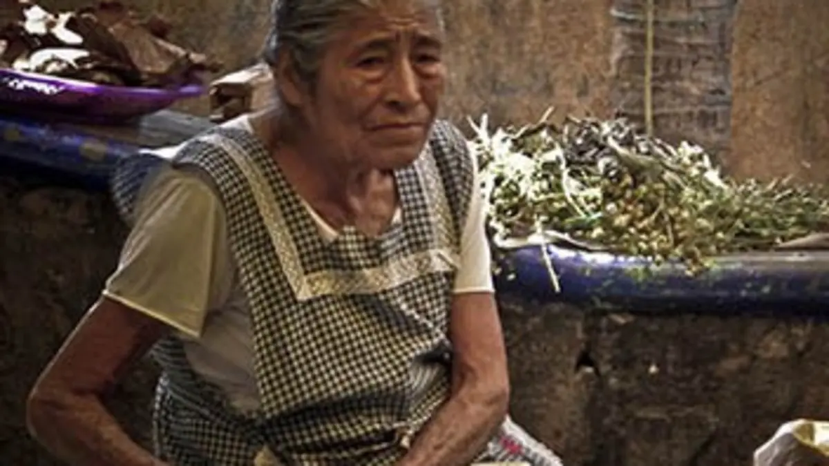 Voyage dans le potage Mexique