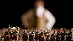 Audiences TV : Waterloo, l'ultime bataille