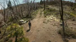 Zodiac : l'obsession