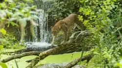 Zoo : le défi de demain