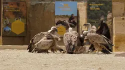 Zoo : le défi de demain