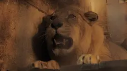 Zoo : le défi de demain